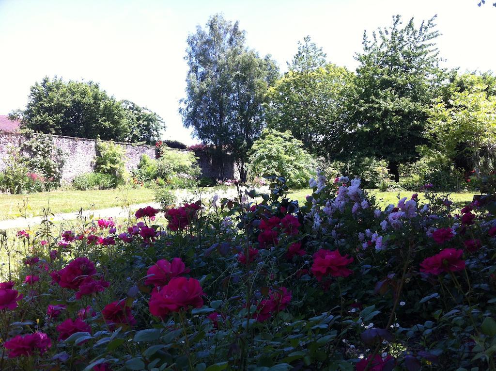 Le Clos de La Muse Saint-Junien Exterior foto